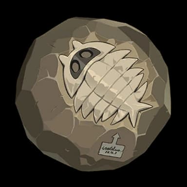 Núcleo Fossilizado Precioso